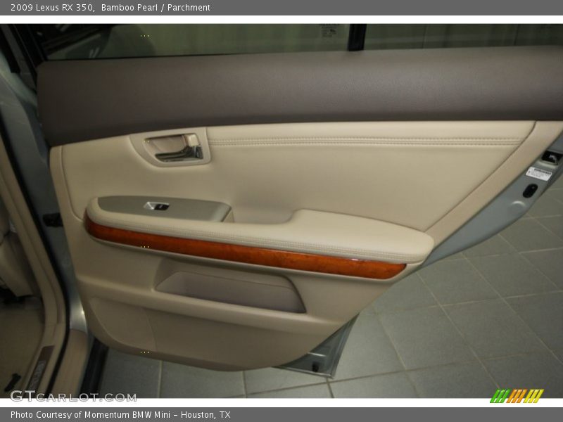 Bamboo Pearl / Parchment 2009 Lexus RX 350