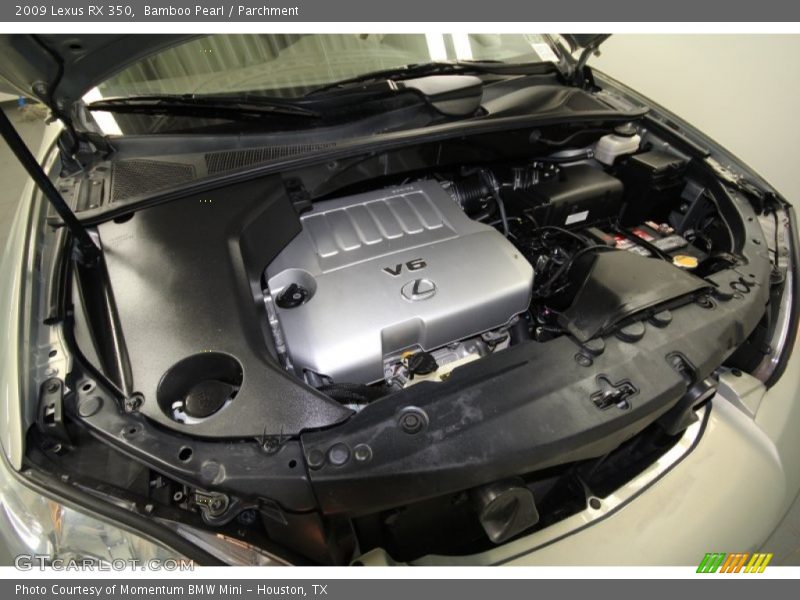 Bamboo Pearl / Parchment 2009 Lexus RX 350