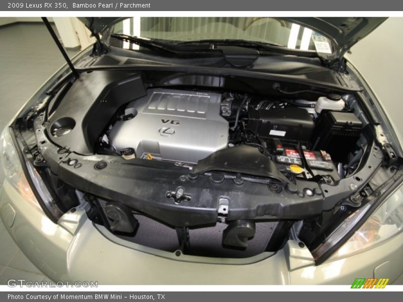 Bamboo Pearl / Parchment 2009 Lexus RX 350