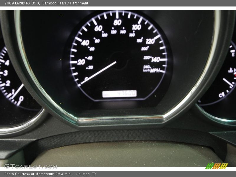 Bamboo Pearl / Parchment 2009 Lexus RX 350