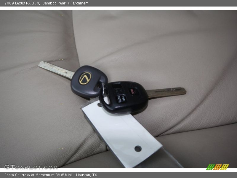 Bamboo Pearl / Parchment 2009 Lexus RX 350
