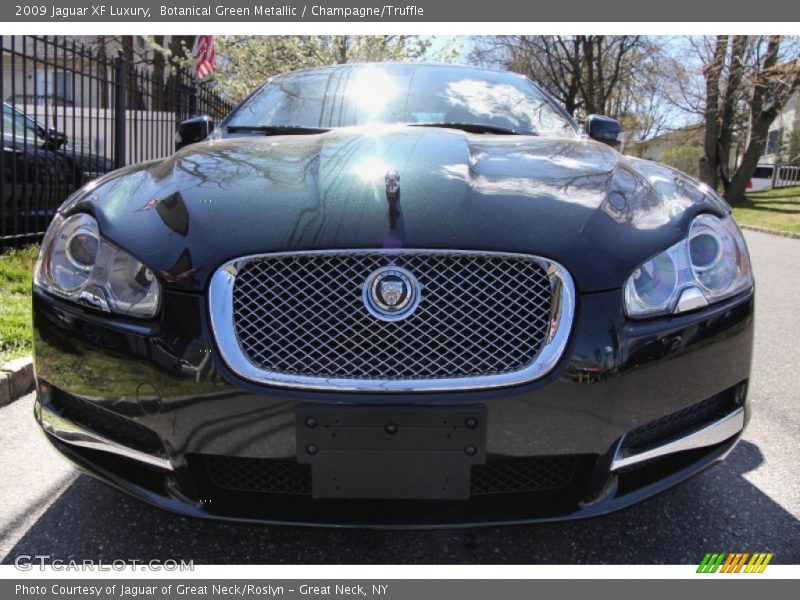 Botanical Green Metallic / Champagne/Truffle 2009 Jaguar XF Luxury