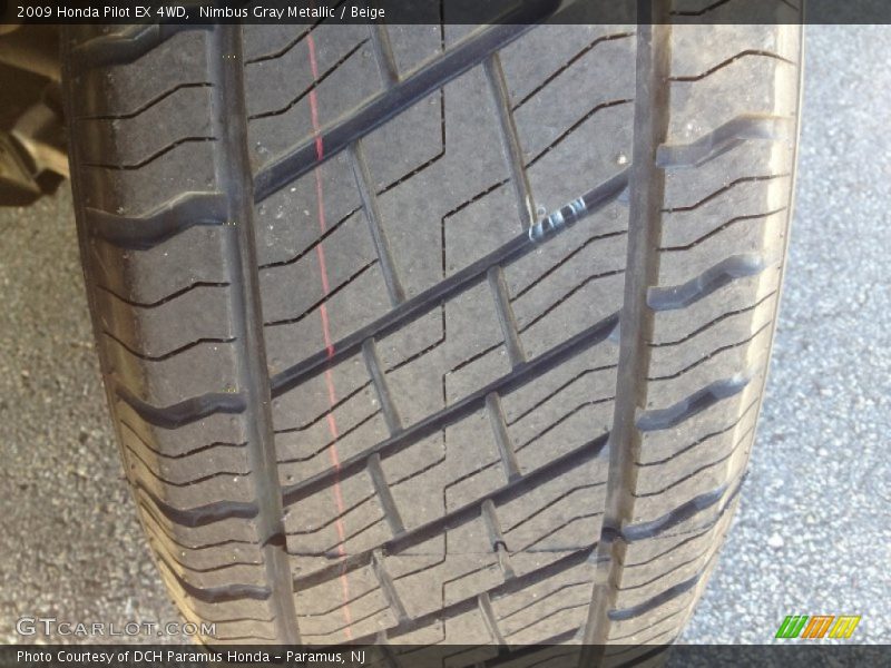 Nimbus Gray Metallic / Beige 2009 Honda Pilot EX 4WD