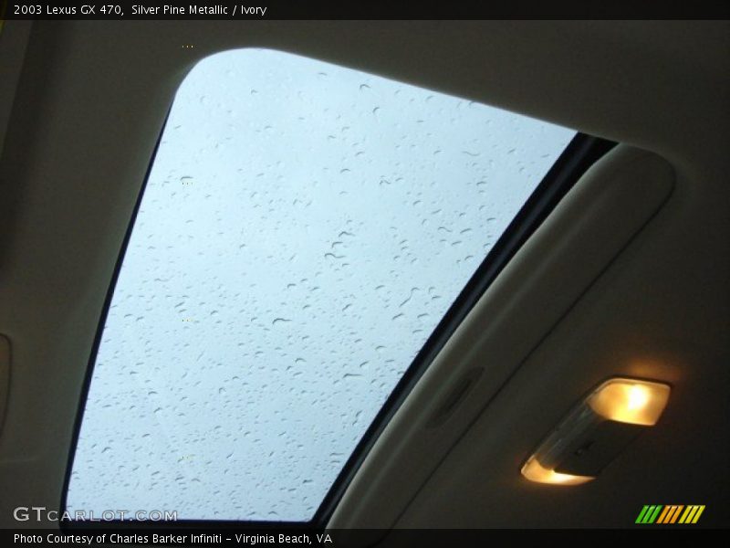 Silver Pine Metallic / Ivory 2003 Lexus GX 470