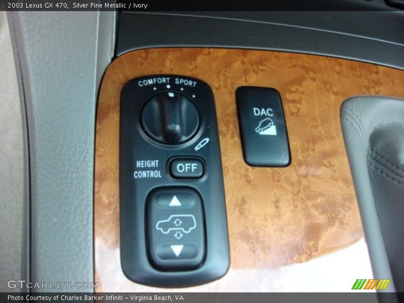 Silver Pine Metallic / Ivory 2003 Lexus GX 470