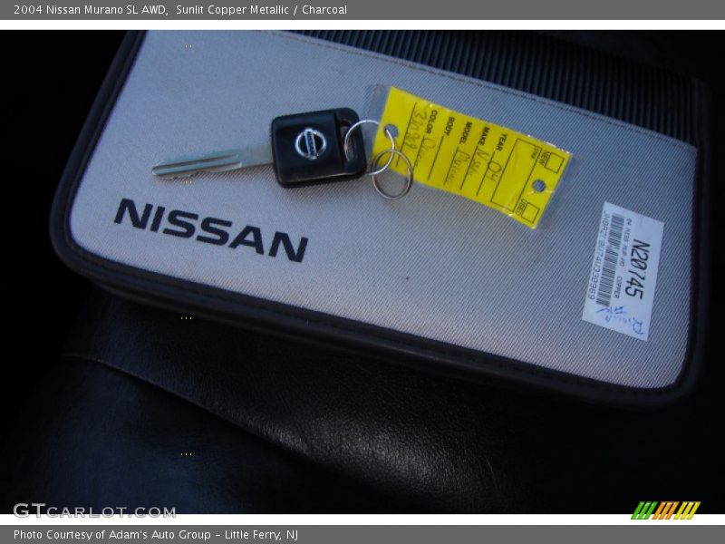 Sunlit Copper Metallic / Charcoal 2004 Nissan Murano SL AWD