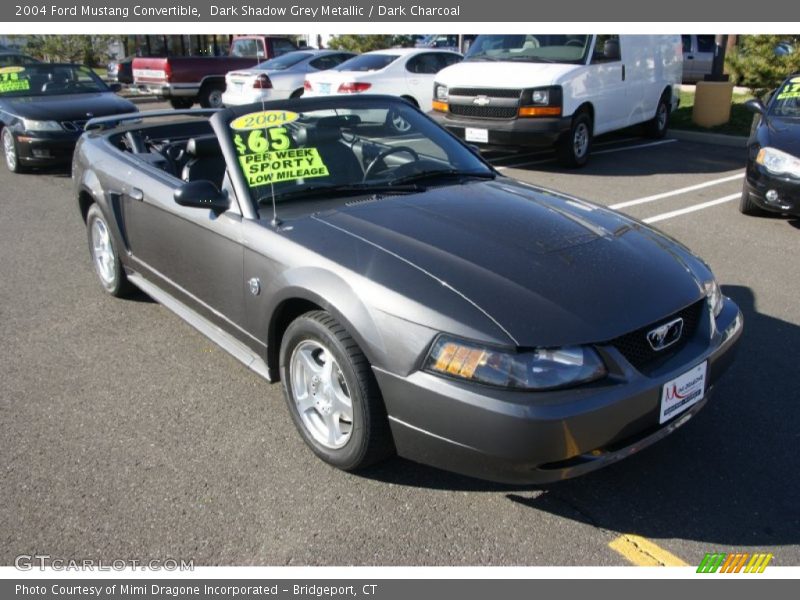 Dark Shadow Grey Metallic / Dark Charcoal 2004 Ford Mustang Convertible