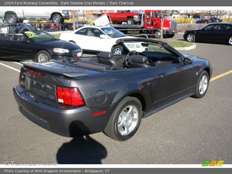 Dark Shadow Grey Metallic / Dark Charcoal 2004 Ford Mustang Convertible