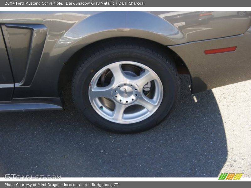 Dark Shadow Grey Metallic / Dark Charcoal 2004 Ford Mustang Convertible