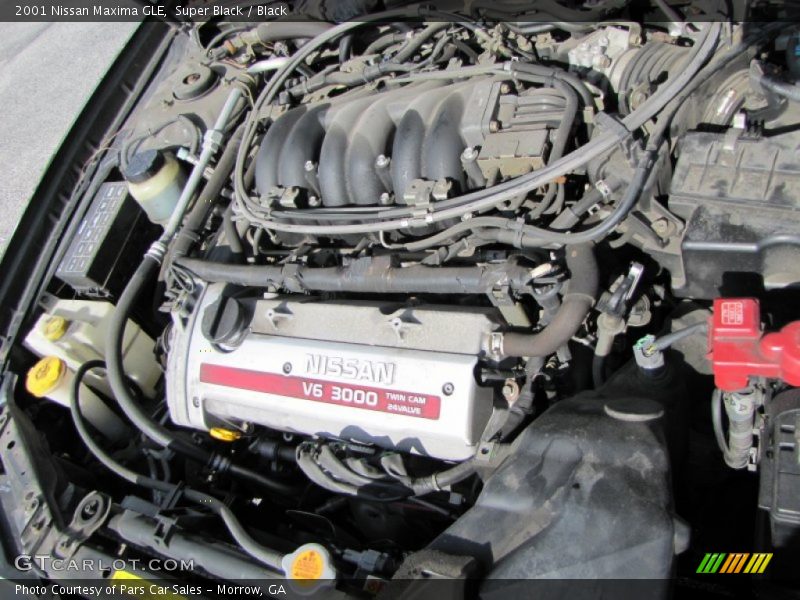 Super Black / Black 2001 Nissan Maxima GLE