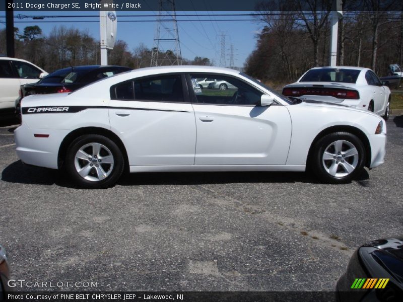 Bright White / Black 2011 Dodge Charger SE