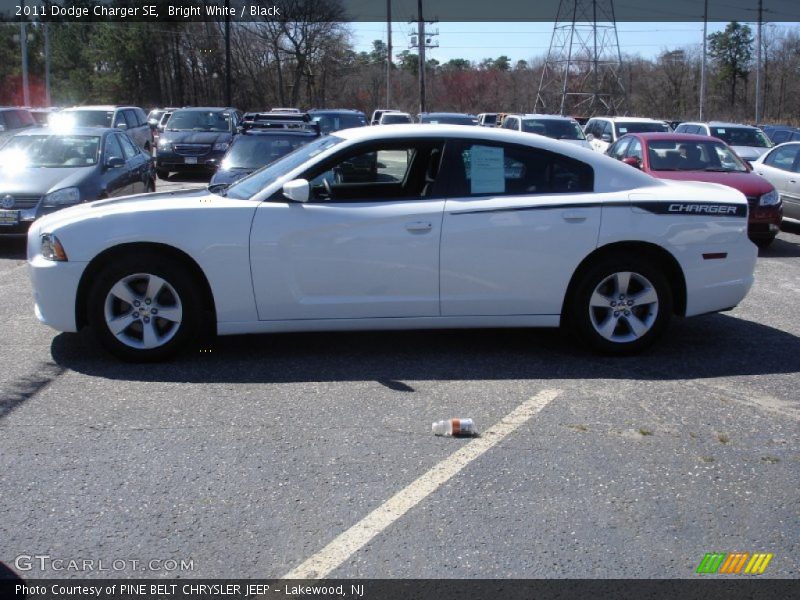 Bright White / Black 2011 Dodge Charger SE