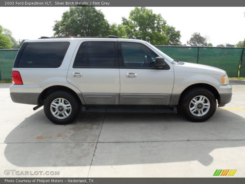 Silver Birch Metallic / Flint Grey 2003 Ford Expedition XLT