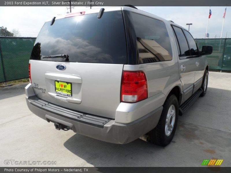 Silver Birch Metallic / Flint Grey 2003 Ford Expedition XLT