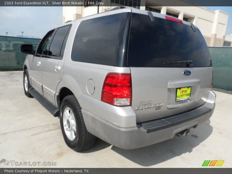 Silver Birch Metallic / Flint Grey 2003 Ford Expedition XLT