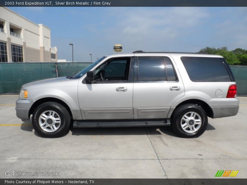  2003 Expedition XLT Silver Birch Metallic