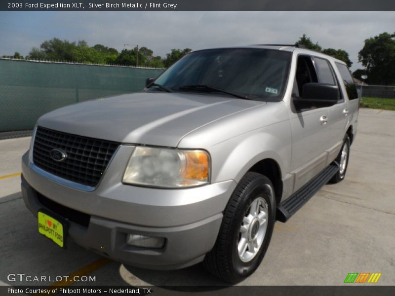 Silver Birch Metallic / Flint Grey 2003 Ford Expedition XLT