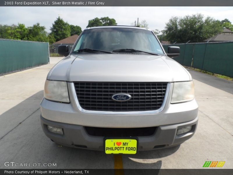 Silver Birch Metallic / Flint Grey 2003 Ford Expedition XLT