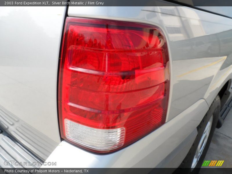 Silver Birch Metallic / Flint Grey 2003 Ford Expedition XLT