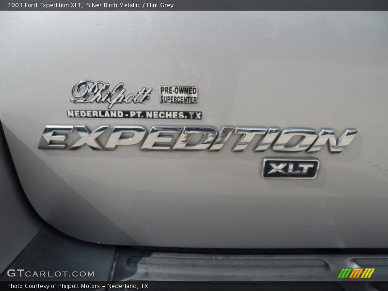 Silver Birch Metallic / Flint Grey 2003 Ford Expedition XLT