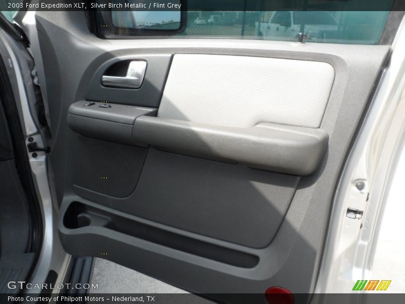 Silver Birch Metallic / Flint Grey 2003 Ford Expedition XLT