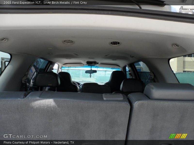 Silver Birch Metallic / Flint Grey 2003 Ford Expedition XLT