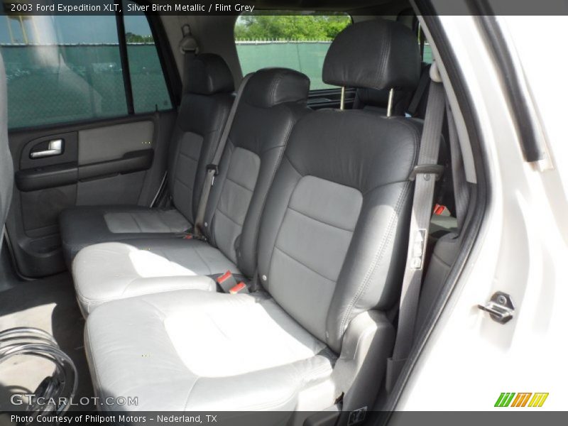 Silver Birch Metallic / Flint Grey 2003 Ford Expedition XLT