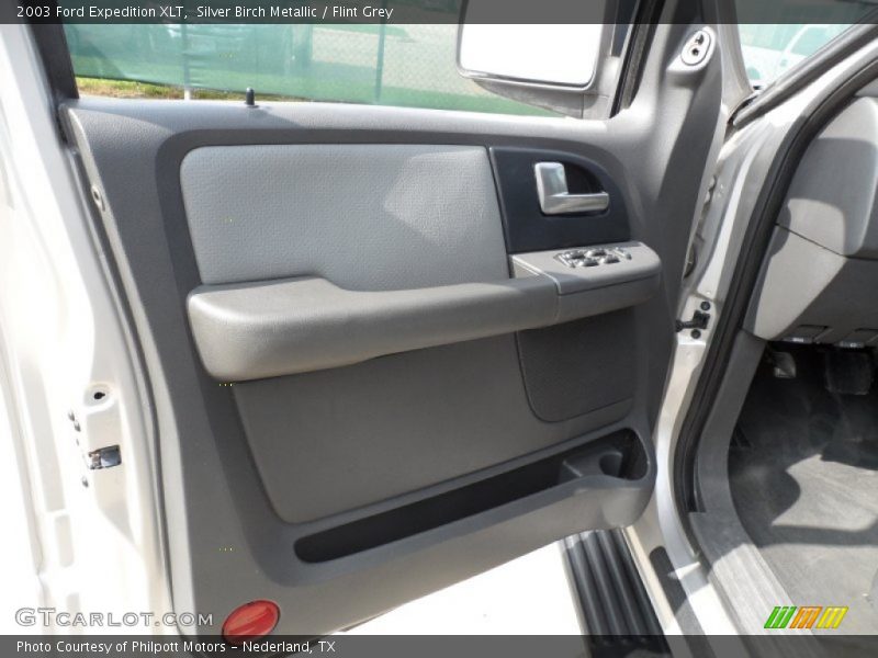 Silver Birch Metallic / Flint Grey 2003 Ford Expedition XLT