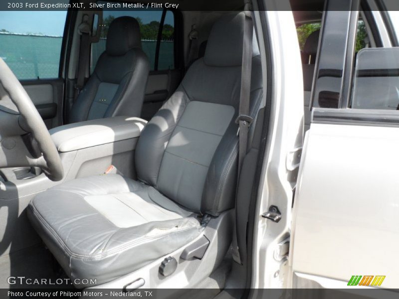 Silver Birch Metallic / Flint Grey 2003 Ford Expedition XLT