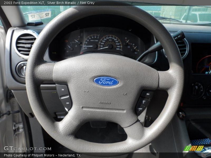 Silver Birch Metallic / Flint Grey 2003 Ford Expedition XLT