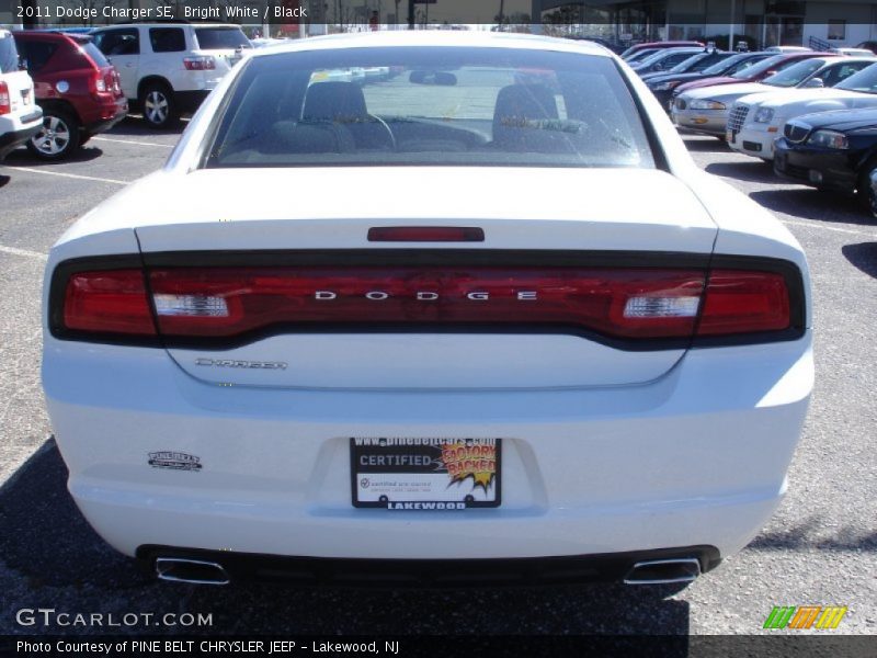 Bright White / Black 2011 Dodge Charger SE
