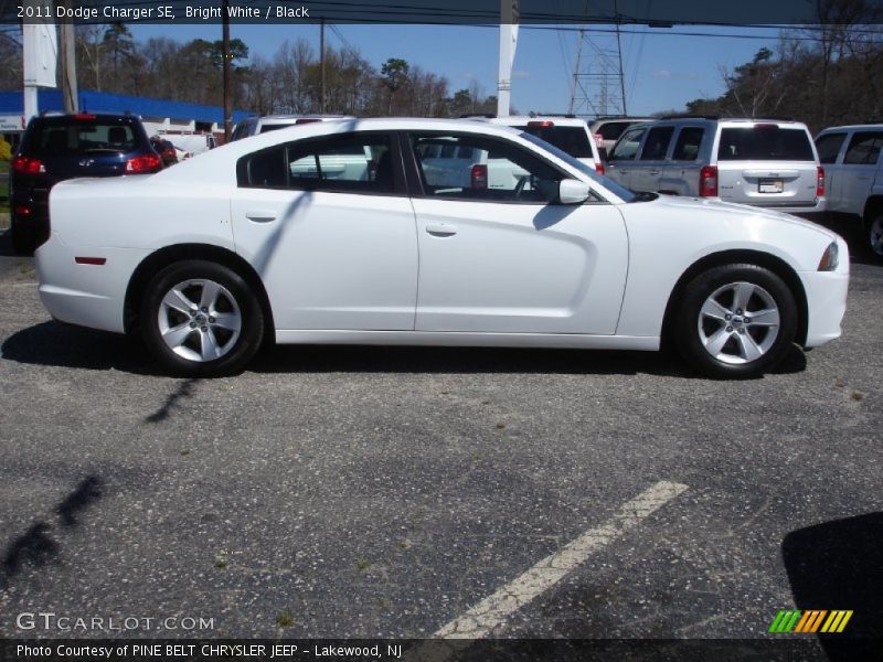 Bright White / Black 2011 Dodge Charger SE