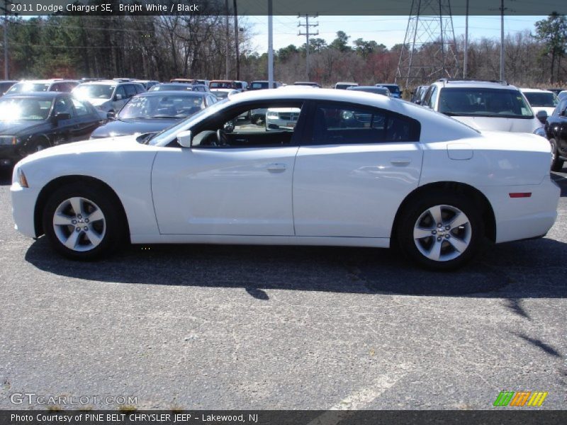 Bright White / Black 2011 Dodge Charger SE