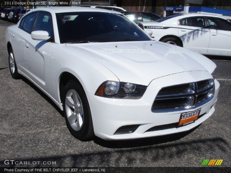 Bright White / Black 2011 Dodge Charger SE