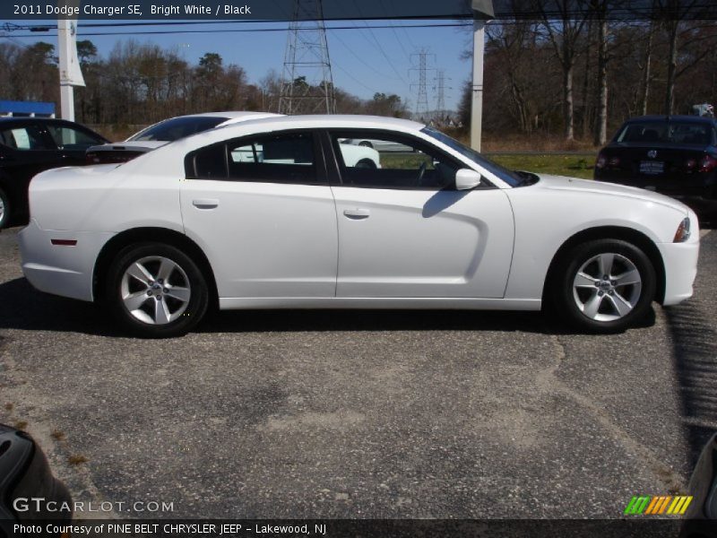 Bright White / Black 2011 Dodge Charger SE