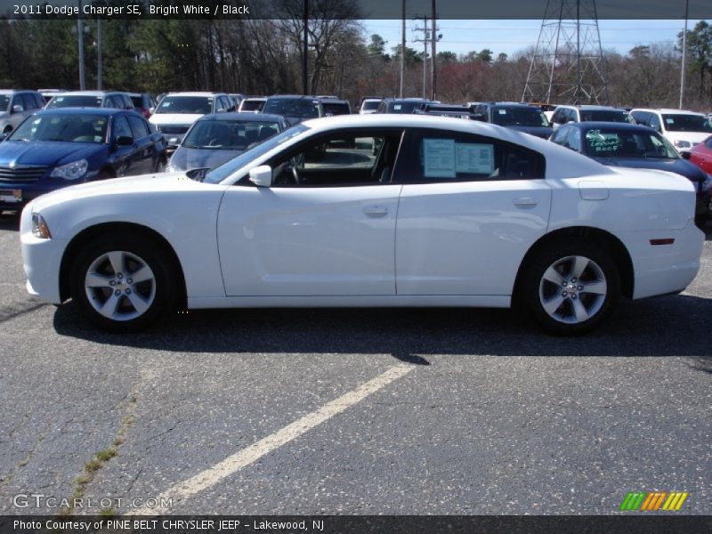 Bright White / Black 2011 Dodge Charger SE