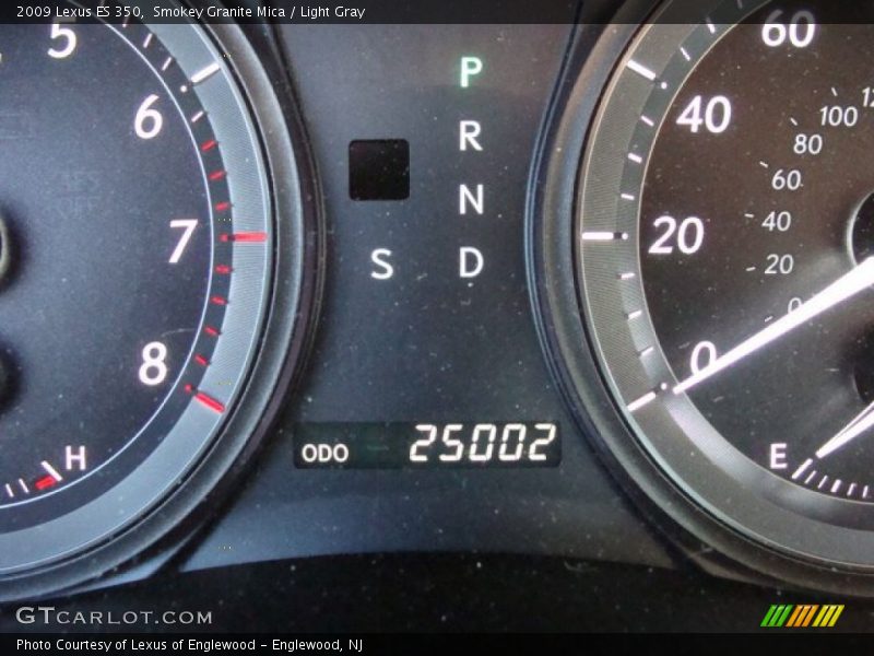 Smokey Granite Mica / Light Gray 2009 Lexus ES 350
