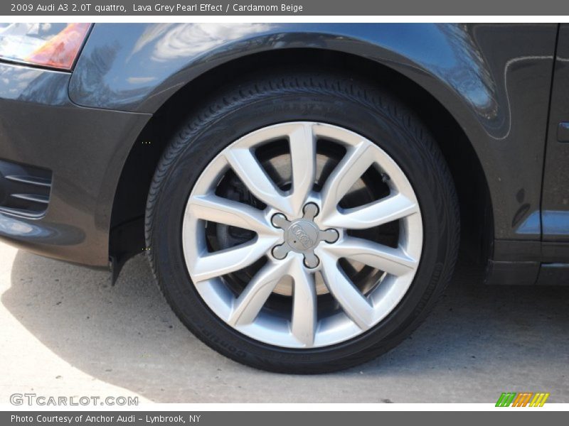 Lava Grey Pearl Effect / Cardamom Beige 2009 Audi A3 2.0T quattro
