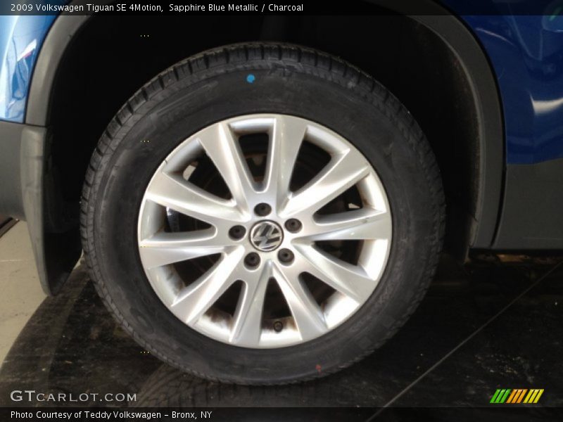 Sapphire Blue Metallic / Charcoal 2009 Volkswagen Tiguan SE 4Motion