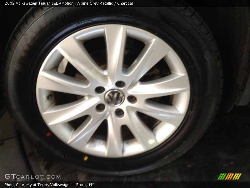 Alpine Grey Metallic / Charcoal 2009 Volkswagen Tiguan SEL 4Motion