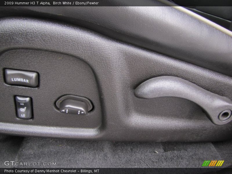 Controls of 2009 H3 T Alpha