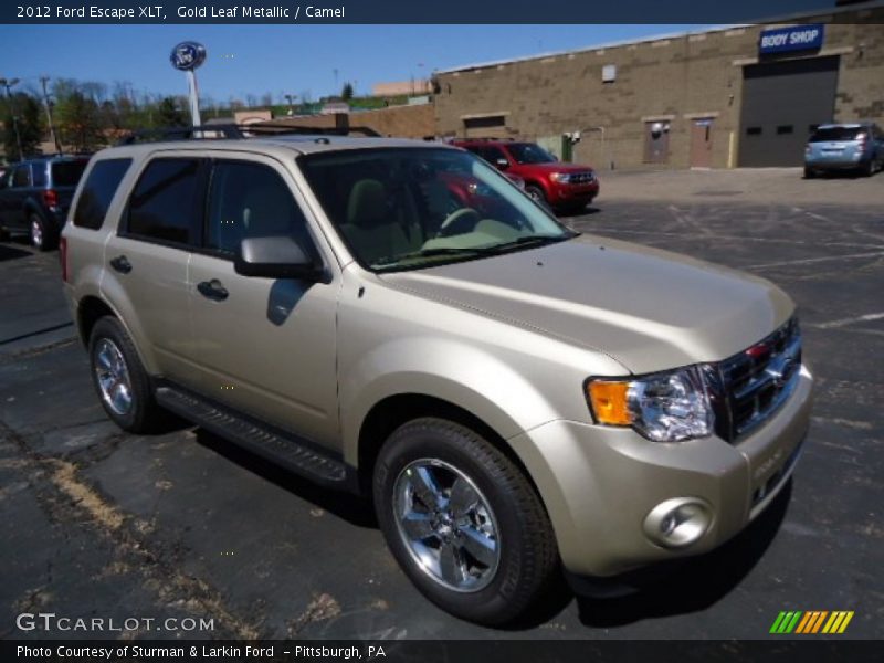 Gold Leaf Metallic / Camel 2012 Ford Escape XLT