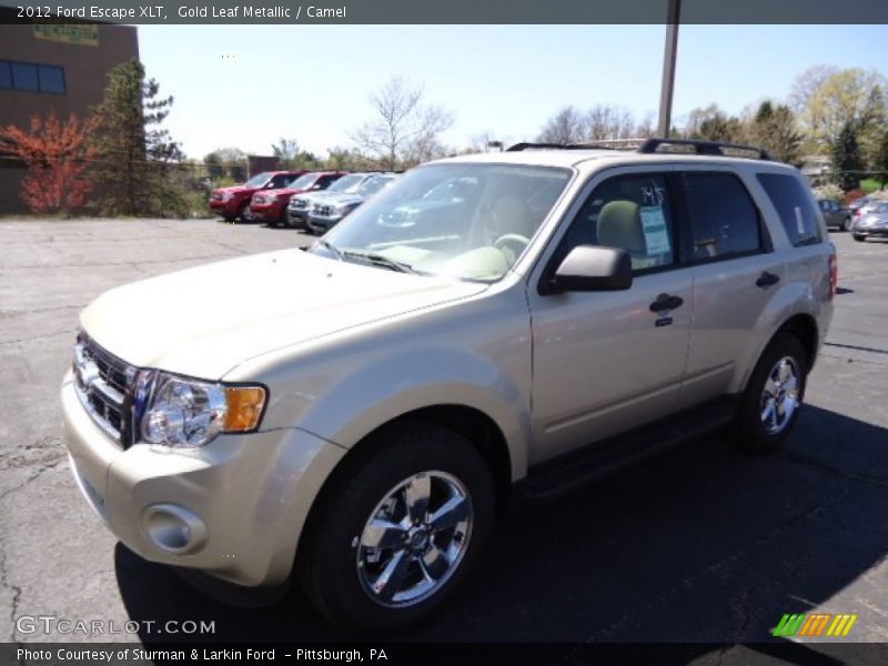 Gold Leaf Metallic / Camel 2012 Ford Escape XLT
