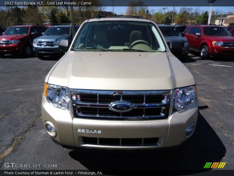 Gold Leaf Metallic / Camel 2012 Ford Escape XLT