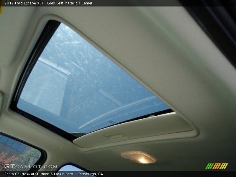 Gold Leaf Metallic / Camel 2012 Ford Escape XLT