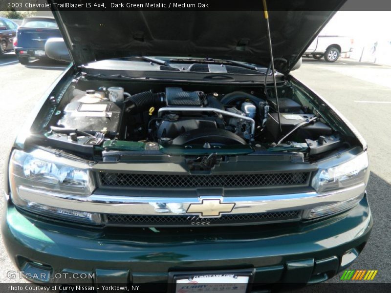Dark Green Metallic / Medium Oak 2003 Chevrolet TrailBlazer LS 4x4