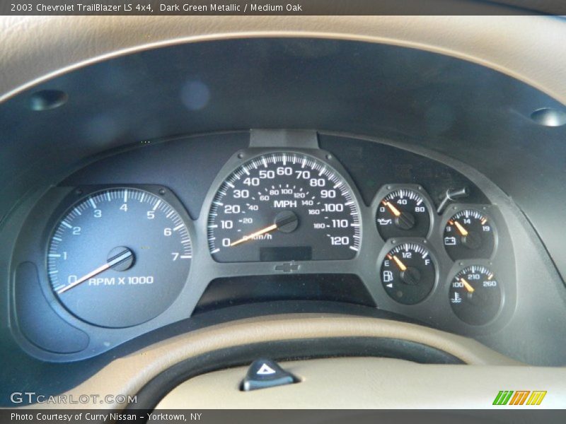 Dark Green Metallic / Medium Oak 2003 Chevrolet TrailBlazer LS 4x4
