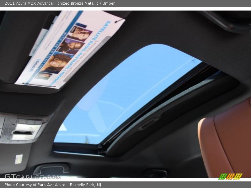 Ionized Bronze Metallic / Umber 2011 Acura MDX Advance