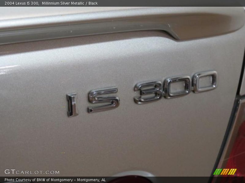 Millinnium Silver Metallic / Black 2004 Lexus IS 300