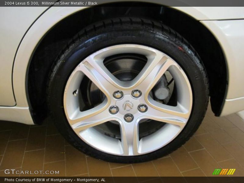 Millinnium Silver Metallic / Black 2004 Lexus IS 300